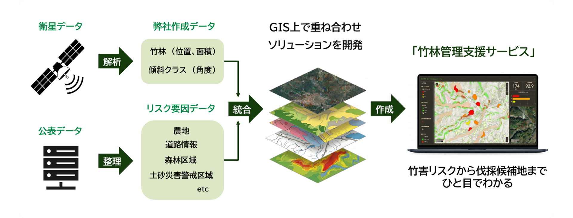 竹林の分布・面積を高精度に把握し、地域ごとのリスク評価へ