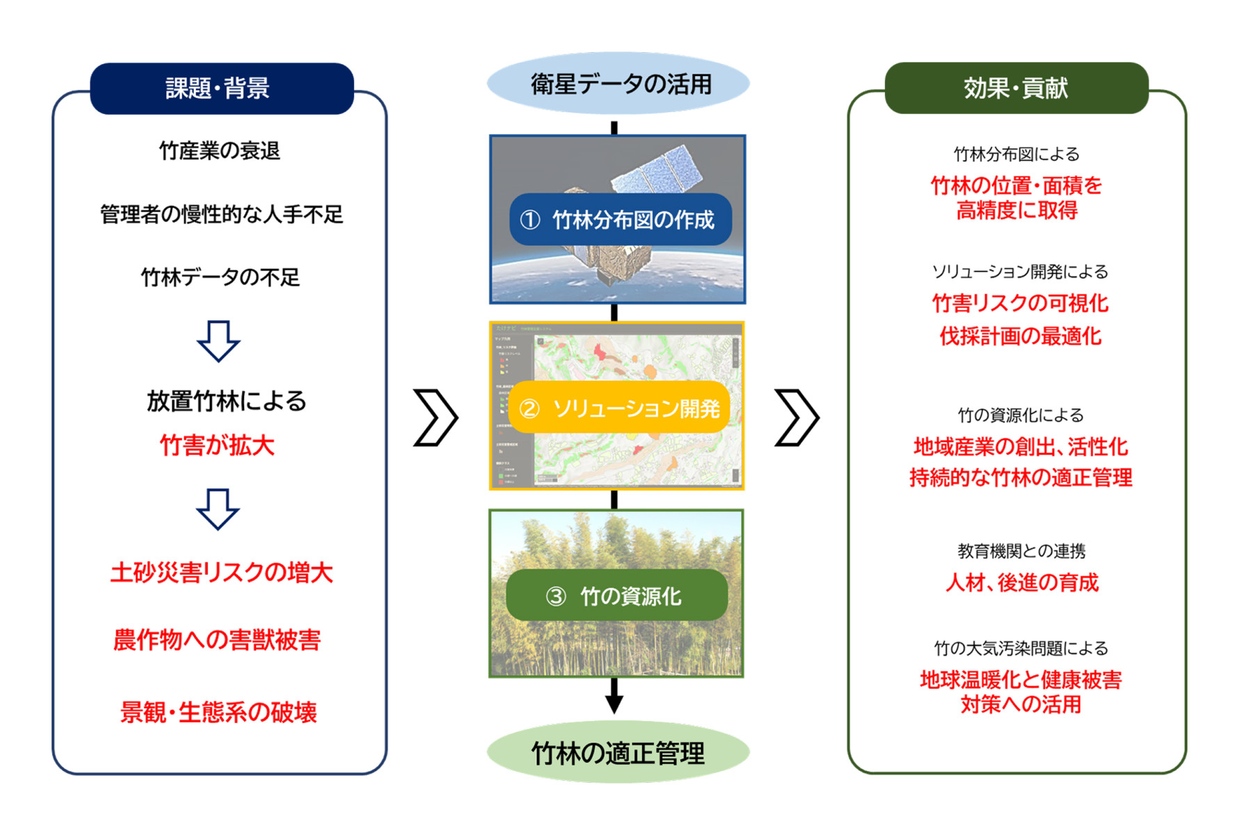 衛星データを起点とした竹資源化プロジェクトのワークフロー